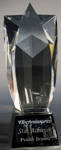 8133 Star Tower Award