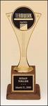 101-X "CAM Award" Trophy