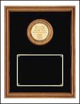 TP1205 CAM Frame Award