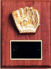 TP1773/7X Sport Plaque