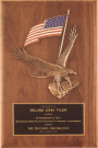 TP2394 Eagle/Flag Plaque