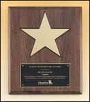 TP4135 Walnut Star Plaque