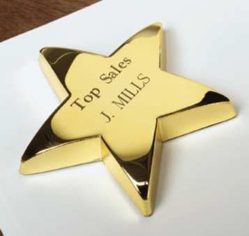 gold star logo. 24K gold electro-plated star
