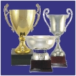 Click here to view European Cups