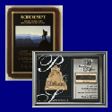 Inspirational Awards - Click to View