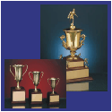 Click to view our Cup & Bowl Awards