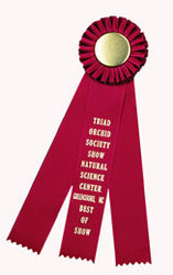 rbb ribbons