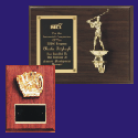 Sport Plaques - Click to View