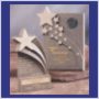 Click to view Stonecast Star Awards.