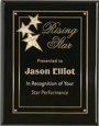 8155 Star "Constellation" Plaque