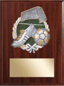sport-plaque-sample (plaque-mount)