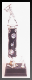 Sport Column Trophies